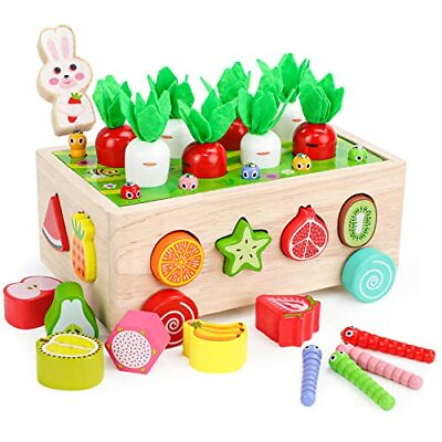 Toddlers Montessori Wooden Educational Toys for Baby Boys Girls Age 2 3 4 Yea $27.44