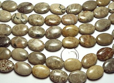 #ad 15quot; Strand quot;Petoskeyquot; FOSSIL CORAL 13x18mm Oval Beads NATURAL $20.70