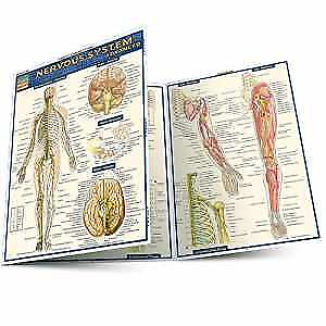 #ad Nervous System Advanced Quick Misc. Supplies by BarCharts Inc. Very Good $5.37