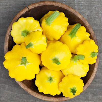 #ad 15 PATTY PAN SCALLOP SUMMER SQUASH SEEDS FRESH HARVEST FOR 2024 GARDENS $2.19