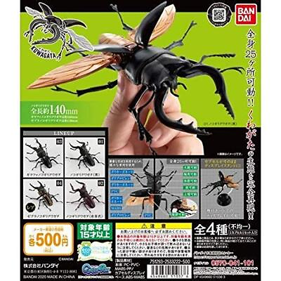 #ad All 4 types of stag beetle comp set including rare figure $121.98