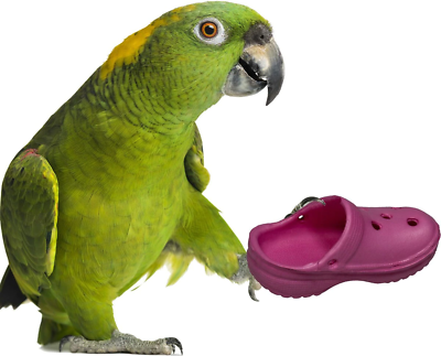 #ad Super Bird Creations SB1192 Crocs 5 Pack Bird Foot Toys Parrot Foot Toy Bird Toy $14.99