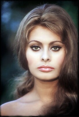 #ad Sophia Loren 8x10 Glossy Photo $8.99