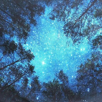 #ad Night Forest Tapestry Starry Sky Wall Hanging Bedspread Art Tree Home Decor Mat $10.34