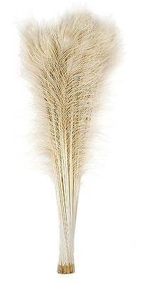 #ad 100 Pcs BLEACHED PEACOCK TAILS Feathers 35 40quot; Crafts Halloween Bridal Party $90.99
