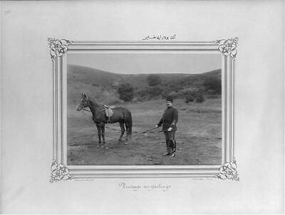 #ad Photo:The drill of the horse with halter ConstantinopleAbdullah Freres. $9.99
