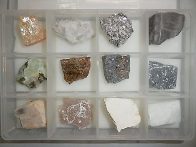 #ad 12 Mineral Stone Collection Set in Plastic Box MSS12 5 Education Specimen Kit $28.00