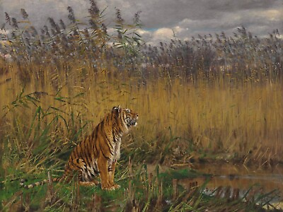 #ad Tiger Wild Animal Portrait 18 x 24 in Rolled Canvas Print Vintage Painting $79.00