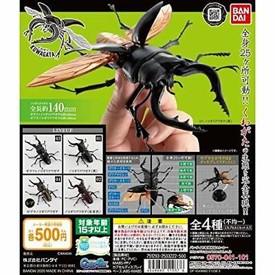 #ad All 4 types of stag beetle comp set including rare figure $136.45