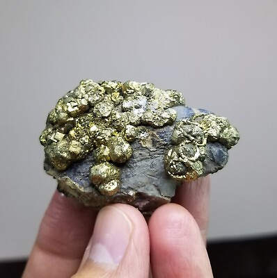 #ad Natural new find golden pyrite Marcasite cluster elongated unusual formed $25.00