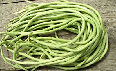 #ad 20Yard Long Bean seeds Asian Chinese Long Bean String beans Productive USA $3.89