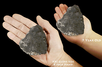 #ad SHUNGITE 3quot; 4 7 Oz Rough Rock Mineral Specimen Raw Root Chakra Healing Crystal $9.99