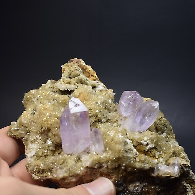 #ad EXCEPTIONAL Amethyst Crystal Cluster Veracruz Mexico FREE SHIPPING #334 $119.99