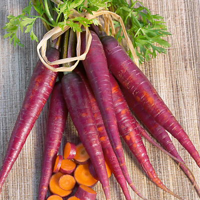 #ad Cosmic Purple Carrot Seeds Non GMO Free Shipping Seed Store 1085 $1.99