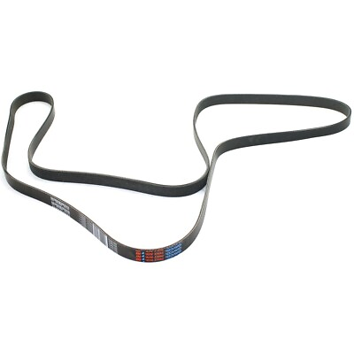#ad 5071013 Dayco Drive Belt for Ram Truck Dodge 1500 2500 3500 96 9800 0103 08 $33.31