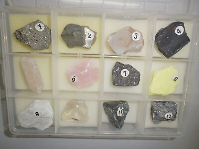 #ad 12 Mineral Stone Specimen Collection Set 4 in Plastic Box Teaching Kit MSS12 4 $28.00