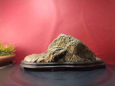 #ad china Natural Mountain stones Bonsai Suiseki nine dragons wall stone 012501 $159.00
