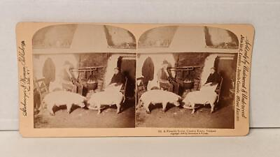 #ad a192 Uamp;U Stereoview quot;A Fireside Scene County Kerry Irelandquot; 6 1896 $11.96