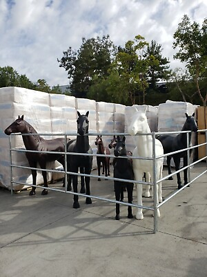 #ad Life Size Plastic Model Horse $1500.00
