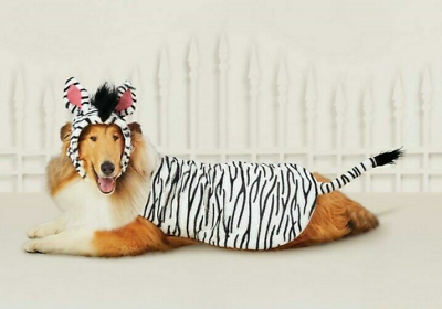 #ad Halloween Zebra Costume for Cats amp; Dogs Hyde amp; EEK Boutique size XS $10.79