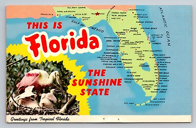 #ad This Is Florida The Sunshine State Vintage Posted 1973 Lake Placid State Map $7.00