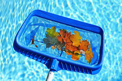 #ad Heavy Duty Leaf Rake Mesh Frame Net Skimmer Cleaner Swimming Pool Spa Tool II i丨 $23.35