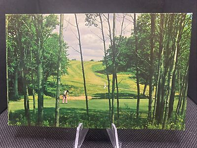 #ad Cross Creek Resort Golf Hole No.12 Titusville Pennsylvania Postcard D12 $4.00
