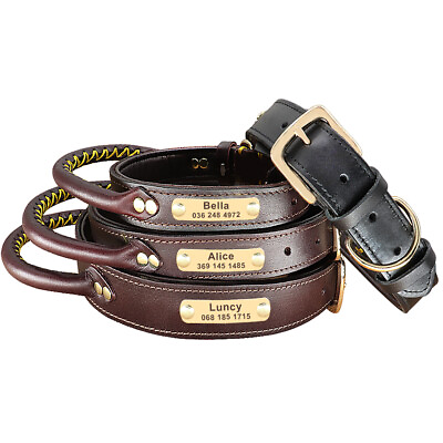 #ad Custom Leather Dog Collar with Handle Personalized for Medium Large Dog Pet Name $19.99