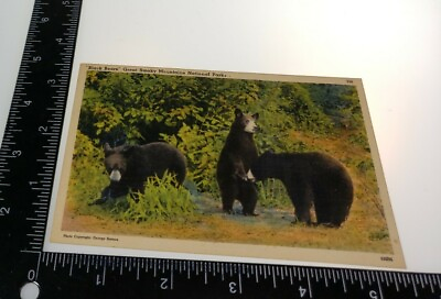 #ad BLACK BEARS LINEN Postcard GREAT SMOKY MOUNTAINS NATIONAL PARK FREE SHIPPING $6.15