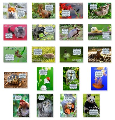 #ad ANIMALS FUN FACTS postcard set of 20 postcards. Animal and bird post cards va... $21.08