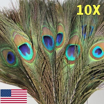 #ad 10x Peacock Tail Feathers Natural 12quot; For Wedding Craft Arts Home DIY Decor US $2.53