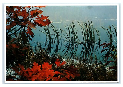 #ad Postcard Summer Blends with Autumn in Maine ME pond water lake K11 $1.99