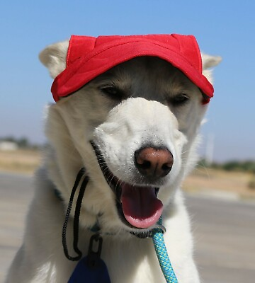 #ad Dog Outdoor Pet Hat Red Adjustable LoveWally Authentic USA Seller Sizes S M L $9.99