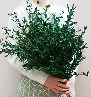 #ad 20 Small Branches Dried Eucalyptus Preserved Greenery Stems 7 14 Pcs 17#x27;#x27; 4o... $22.75