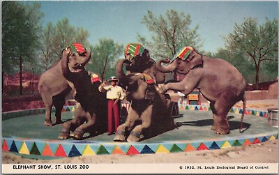 #ad Vintage 1952 ST. LOUIS ZOO Missouri Postcard quot;Elephant Showquot; Chrome Unused $4.69