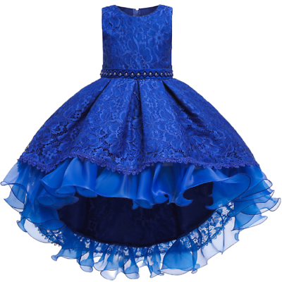 #ad Baby Girls Princess Lace Flower Christmas Party Dress Kids Elegant Vestidos $40.46