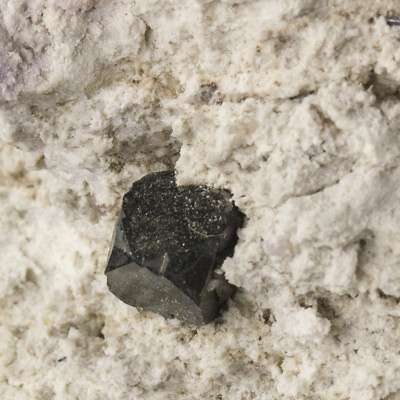 #ad 9.5mm BIXBYITE Sharp Crystals on 3quot; White Rhyolite Thomas Range Utah for sale $43.75