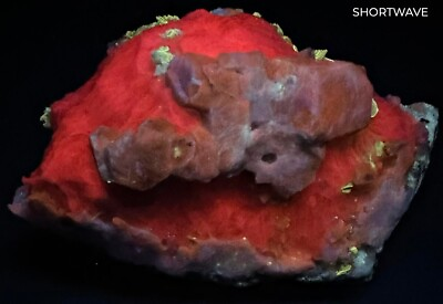 #ad 1641 G. Fluorescent Hauyne Crystals Hackmanite dot Unknown Pyrite Matrix @AF $329.99
