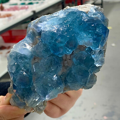 #ad 2.64LB Natural blue green cubic fluorite crystal cluster mineral samples $568.00