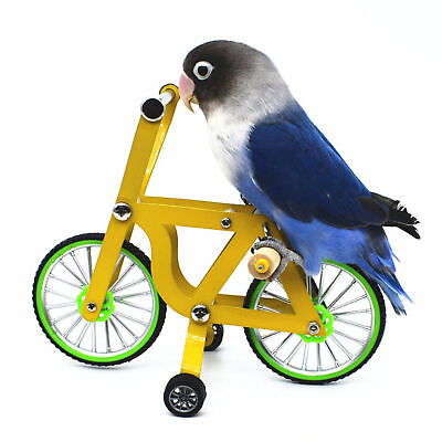 #ad Bird Training Toy Mini Bike Training Supplies Parrot Educational Toy Bird $23.04