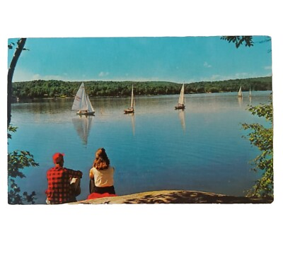 #ad Postcard Topographical Sailing on Blue Water Lake Boats People Trees Plaid Shirt $9.99