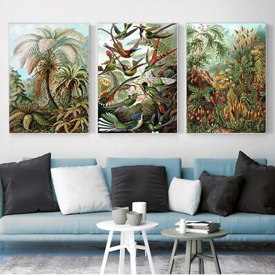 #ad Biology Posters Palm Tree Prints Hummingbird Botanical Wall Art Canvas Painting $9.99