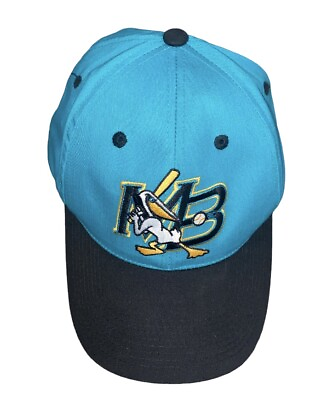 #ad Vintage Myrtle Beach Pelicans Snapback Hat Minor League Baseball RARE Teal $39.98