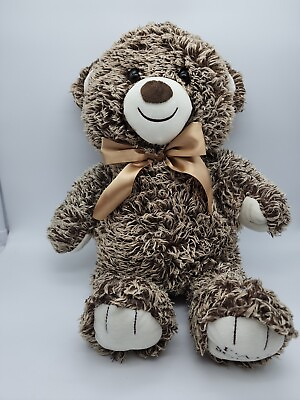 #ad FAO SCHWARZ Bears That Care Teddy Bear 18quot; Stuffed Plush Animal $8.99