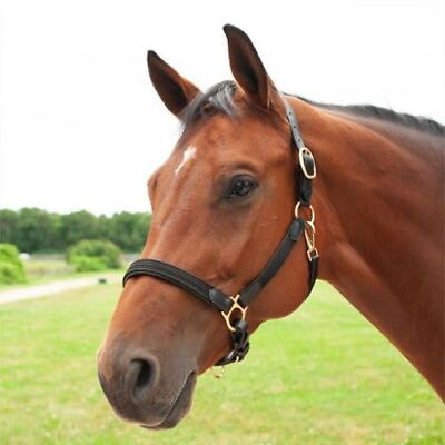 #ad SmartPak Padded Cotton and Leather Halter $52.95