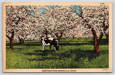 #ad Original Old Vintage Antique Postcard Greetings Cow Greenville Pennsylvania $5.99