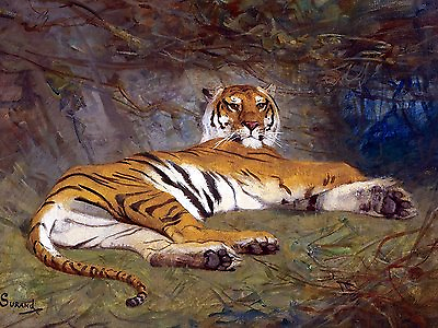 #ad The tiger wild animals G. Surand Tile Mural Wall Backsplash Art Marble Ceramic $249.84
