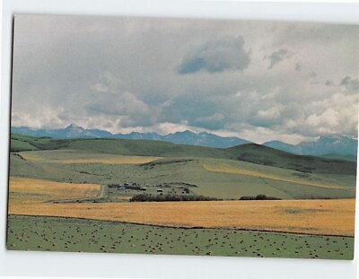 #ad Postcard Farming amp; Ranch country in the Foothills Canada $4.75
