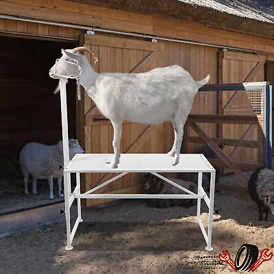 #ad Livestock Stand Trimming Stand 51#x27;#x27; x 23#x27;#x27; Adjustable Livestock Stands for Goats $109.90