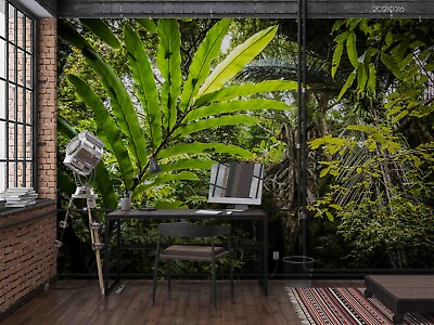 #ad 3D Sunny Tropic Forest Wallpaper Wall Mural Removable Self adhesive 8 AU $349.99